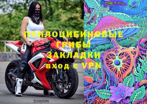 гидра Наволоки
