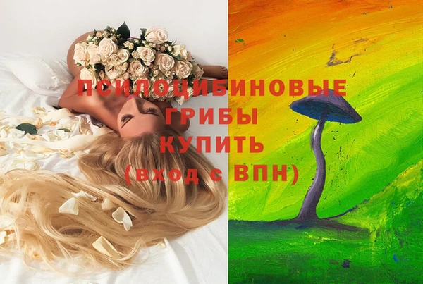 спиды Алзамай