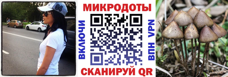 купить   ссылка на мегу tor  Галлюциногенные грибы Psilocybine cubensis  Микунь 